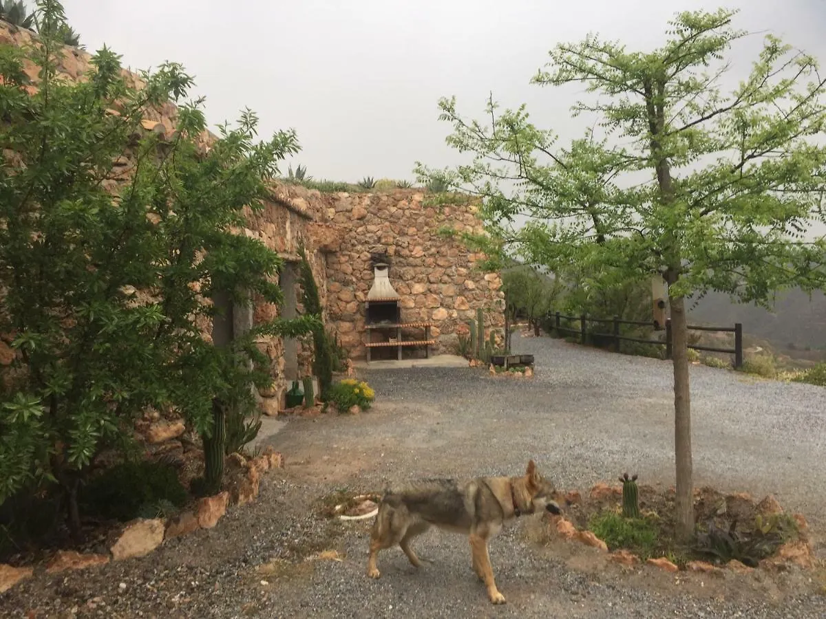 Cuevas El Torriblanco Pension Gorafe 0*,